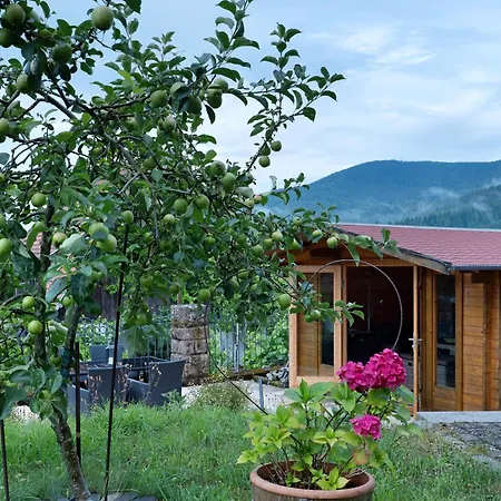 Christophorus 3* Forbach