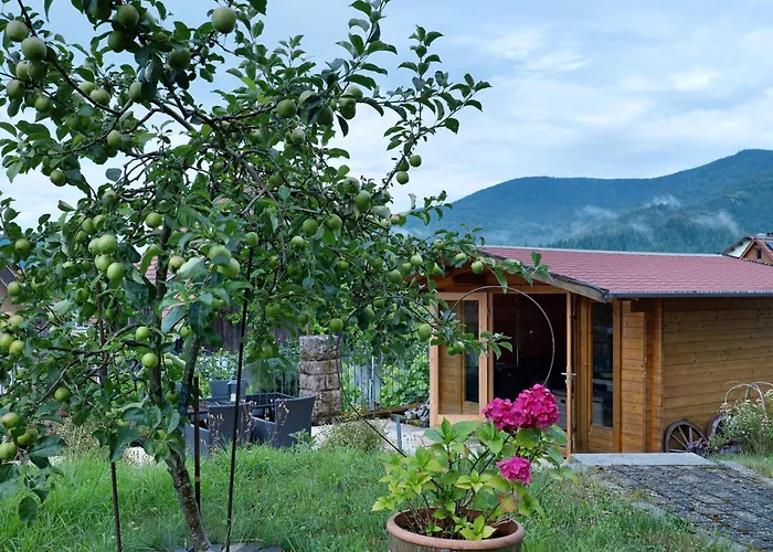 Christophorus 3* Forbach